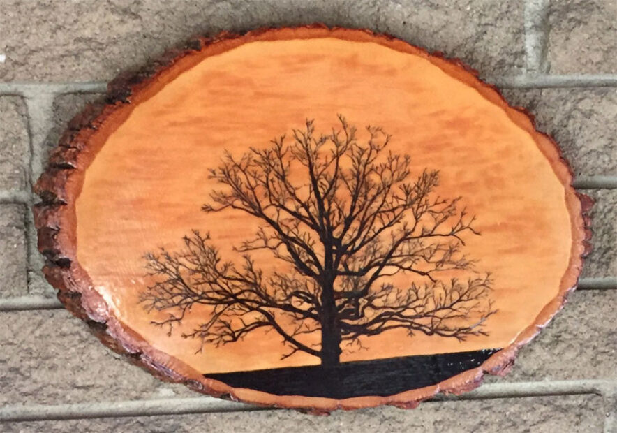10 Best Wood for Wood Burning & Pyrography